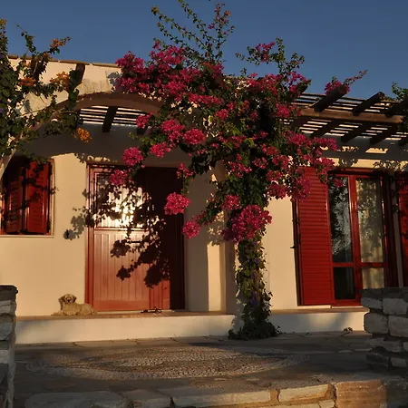 Anemones & - Onar Collection 4*