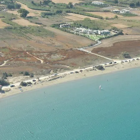 Anemones & - Onar Collection