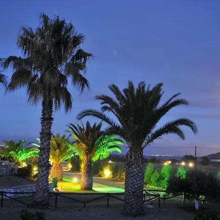 Anemones & - Onar Collection Molos (Paros)