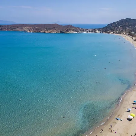 Anemones & - Onar Collection 4*