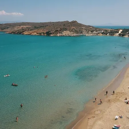 Anemones & - Onar Collection Molos (Paros)