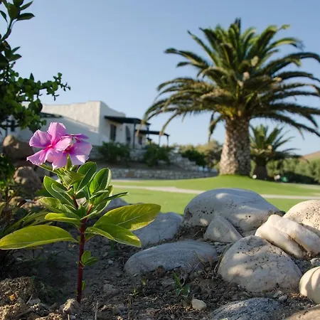 Lejlighedshotel Anemones & - Onar Collection