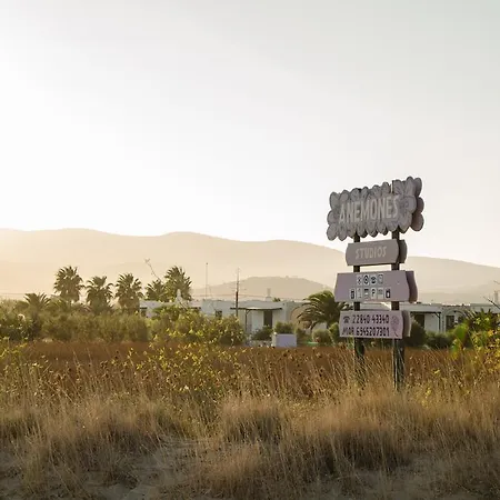 Anemones & - Onar Collection