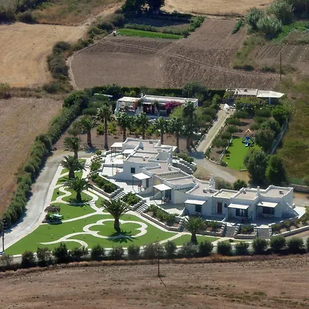 Anemones & - Onar Collection Molos (Paros)