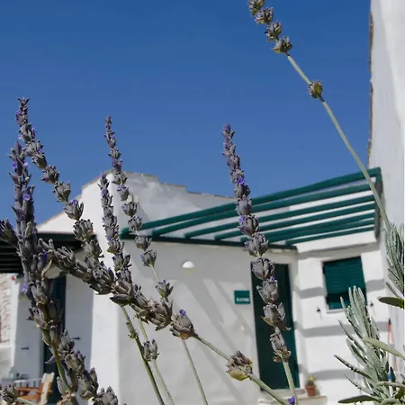 Anemones & - Onar Collection 4* Molos (Paros)