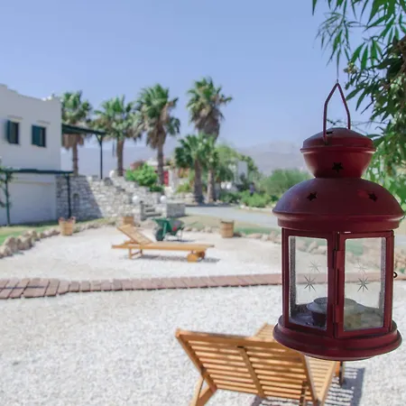 Anemones & - Onar Collection Molos (Paros)