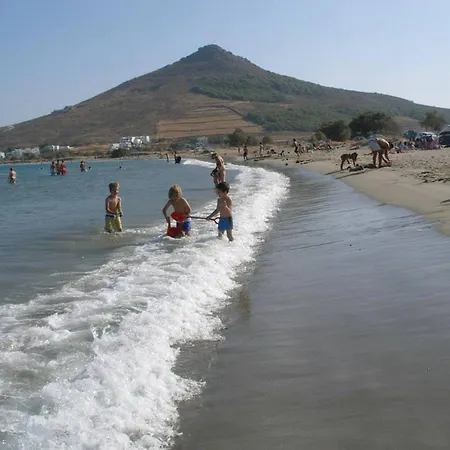 Anemones & - Onar Collection 4*