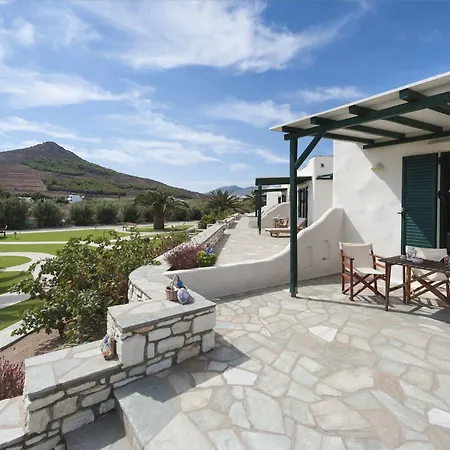 Anemones & - Onar Collection