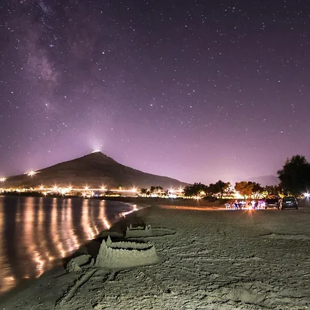 Anemones & - Onar Collection Molos (Paros)