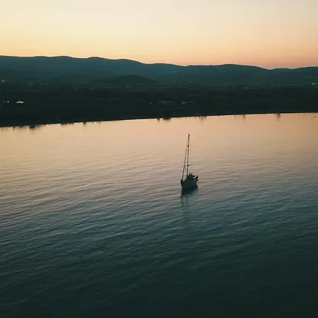 Anemones & - Onar Collection Molos (Paros)