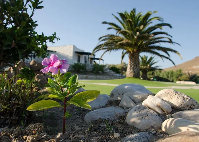 Apartahotel Anemones Studios&suites - Onar Collection