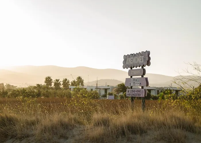 Anemones Studios&suites - Onar Collection