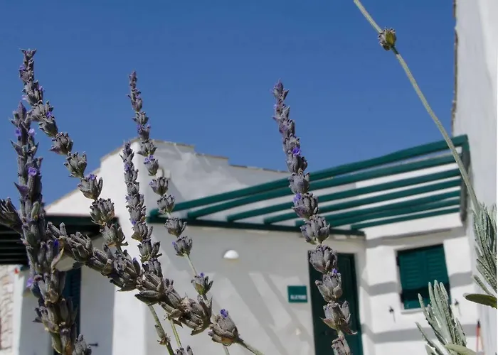 Anemones Studios&suites - Onar Collection 4* Molos (Paros)